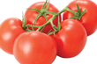 Tomatoes per KG