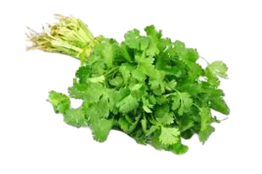 Herbs Dhania 1S Bunch