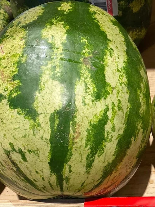 Watermelon Large