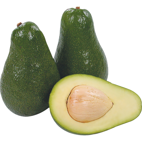 Avocado Medium
