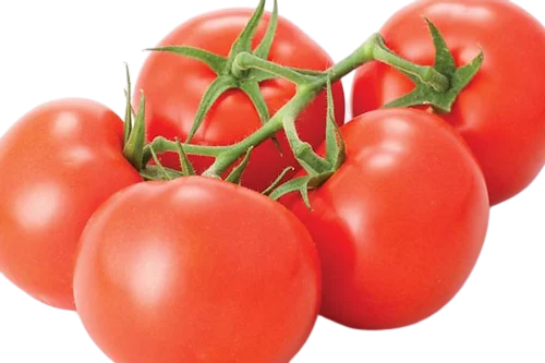 Tomatoes per KG