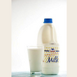 Milk 2L (Zammilk)