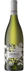 Protea Chardonnay