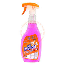 Mr Muscle Window Cleaner